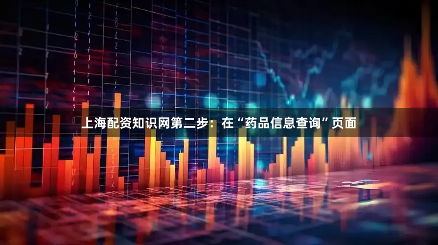 上海配资知识网第二步：在“药品信息查询”页面
