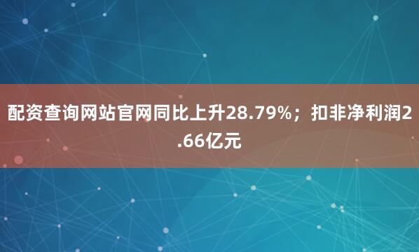 配资查询网站官网同比上升28.79%；扣非净利润2.66亿元